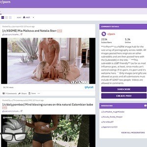 Porn - reddit.comrporn