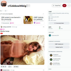 Reddit CelebsWithBigTits