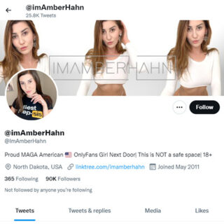 Amber Hahn - twitter.comimamberhahn