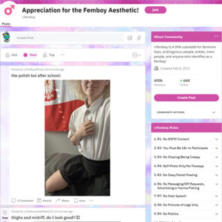 Femboy - reddit.comrfemboy