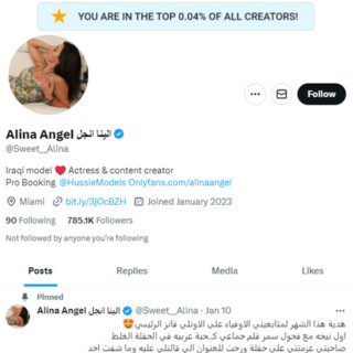 Alina Angel Twitter - twitter.comSweet__Alina