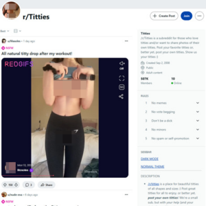 Reddit Titties