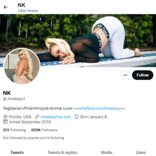 Nina Kayy - twitter.com_ninakayy1