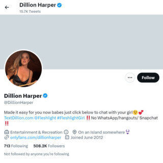 Dillion Harper Twitter - twitter.comDillionHarper