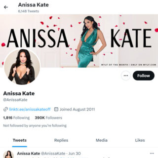 Anissa Kate Twitter - twitter.comanissakate