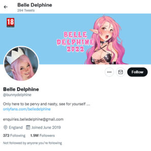 Belle Delphine Twitter - twitter.combunnydelphine