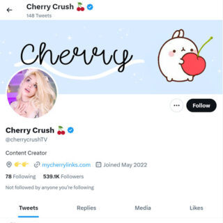 Cherry Crush Twitter - twitter.comcherrycrushTV