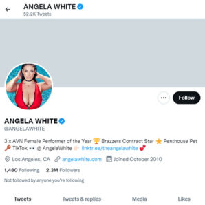 Angela White Twitter - twitter.comangelawhite