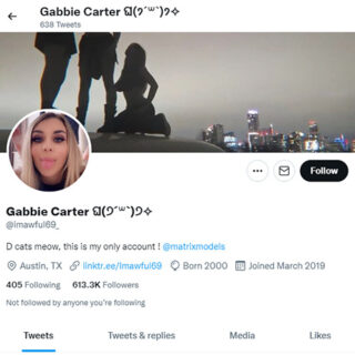 Gabbie Carter Twitter - twitter.comimawful69_
