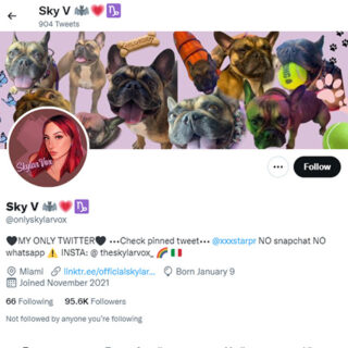 Skylar Vox Twitter - twitter.comonlyskylarvox