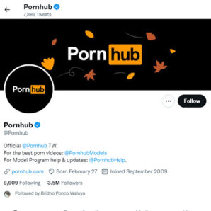 PornHub Twitter - twitter.compornhub