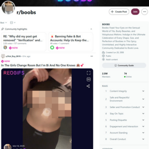 Reddit Boobs