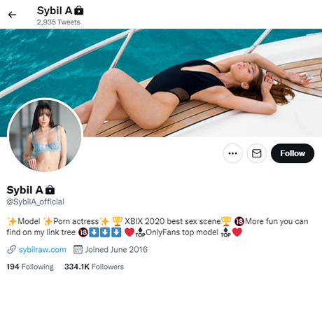 Sybil 641 Hall of Fame Like twitter com 