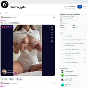 Reddit NSFW GIFS