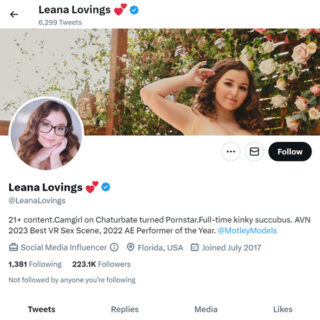 Leana Lovings Twitter - twitter.comLeanaLovings