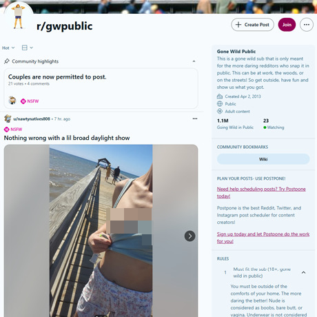 Reddit Gone Wild Public