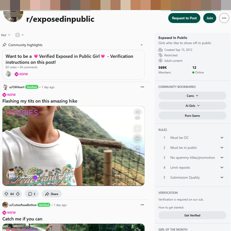 Reddit Exposed In Public