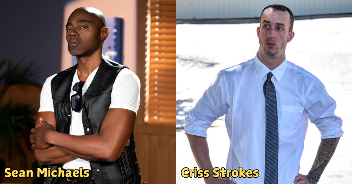 TPDVIPBlog_MalePornstars3