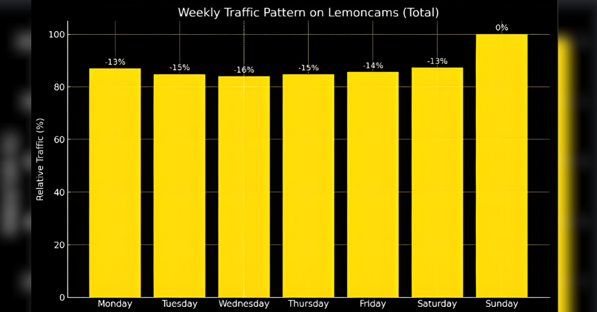 TPDVIPBlog_Lemoncams3