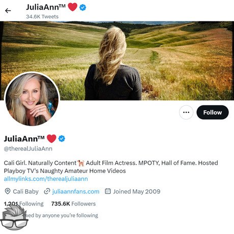 Julia Ann Twitter - twitter.comtheRealJuliaann