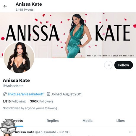 Anissa Kate Twitter - twitter.comanissakate