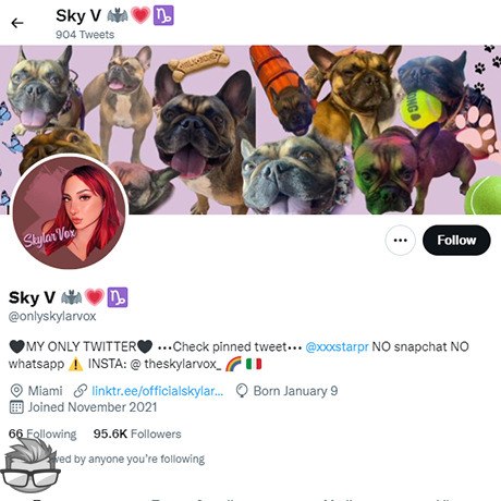 Skylar Vox Twitter - twitter.comonlyskylarvox