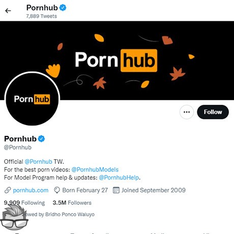 PornHub Twitter - twitter.compornhub