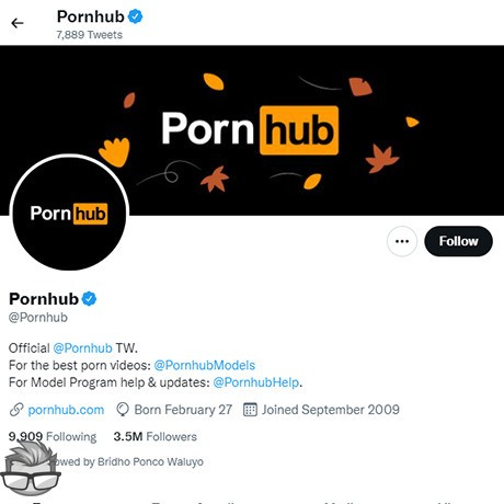 PornHub Twitter