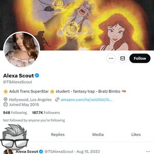 Alexa Scout Twitter (TS)