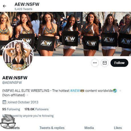 All Elite Wrestling