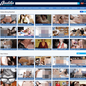 Analdin