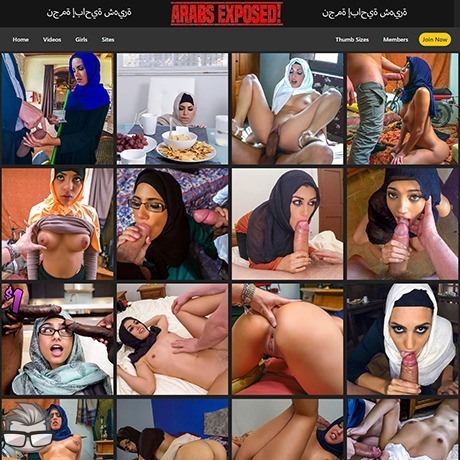 Arabs Exposed (fake)
