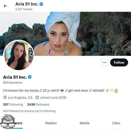 Aria Lee Twitter