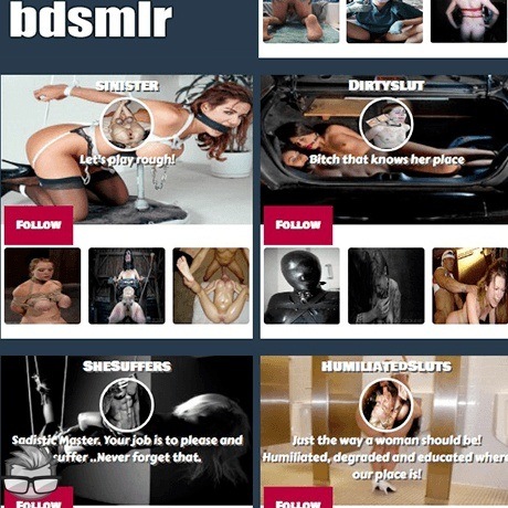 Bdsmlr