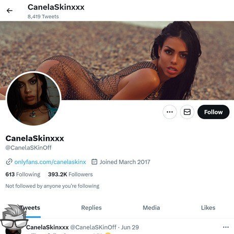 Canela Skin Twitter