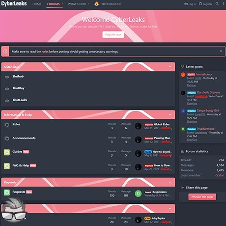 CyberLeaks