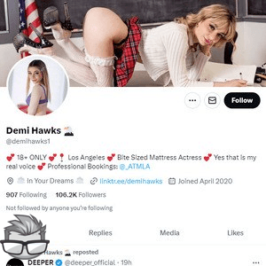 Demi Hawks Twitter