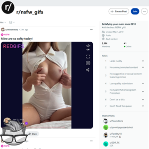 Reddit NSFW GIFS