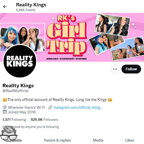 Reality Kings Twitter - twitter.comrealrkofficial