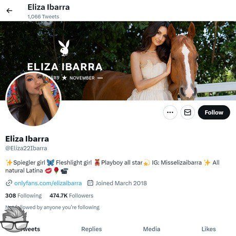 Eliza Ibarra Twitter