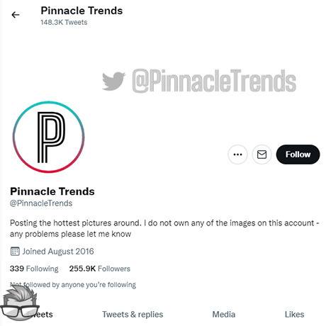 Pinnacle Trends