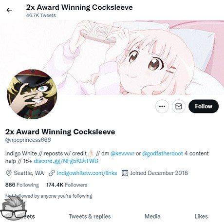 Indigo White Twitter