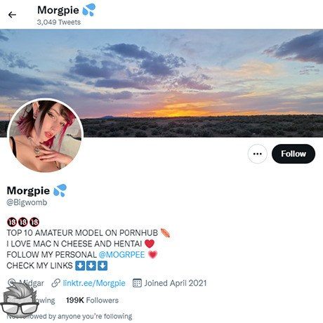 Morgpie Twitter