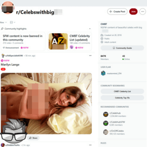 Reddit CelebsWithBigTits