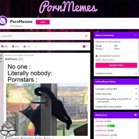 Reddit Porn Memes