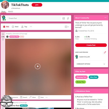 Reddit TikTokThots