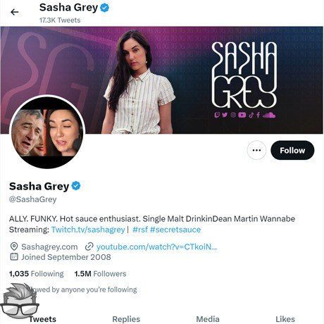 Sasha Grey Twitter