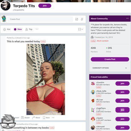 Torpedo Tits