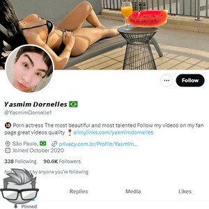 Yasmin Dornelles Twitter (TS)